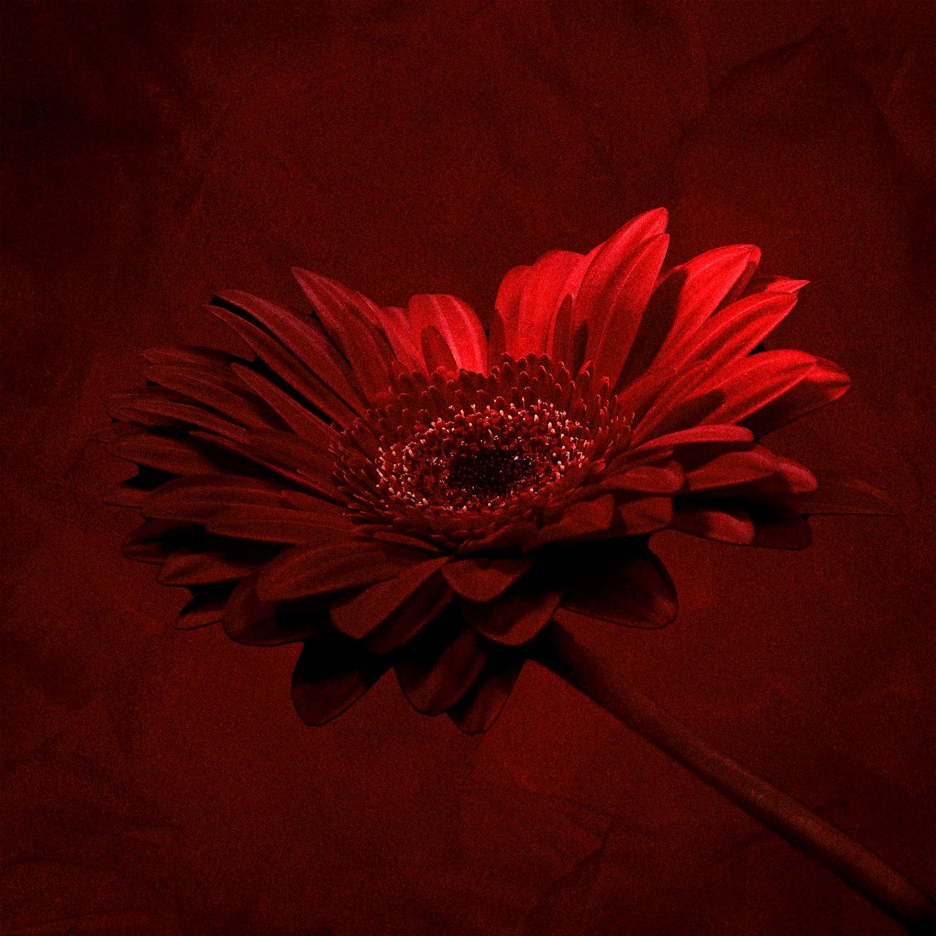 Ahmet Hatipoğlu - Uğruna Yazdım